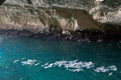 Морские пещеры Рош ха-Никра – мистические легенды и внеземные красоты