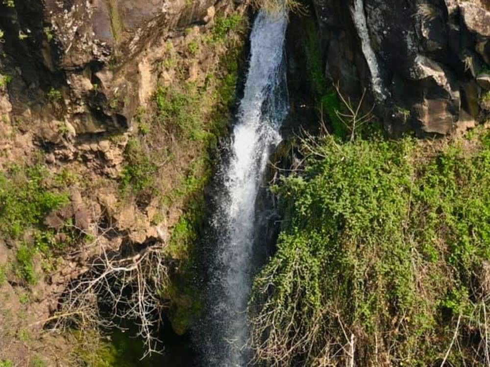 Удивительные Голаны